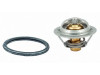 Termostat TAMA WV54BN82