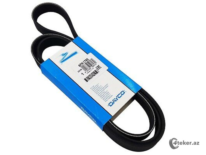 V-Yivli Generator kəməri Dayco 6PK1795