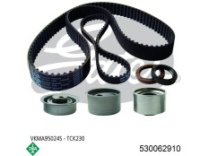 QRM kəməri dişli dəst  INA 530062910