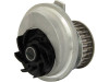 Su pompası AIRTEX 1448