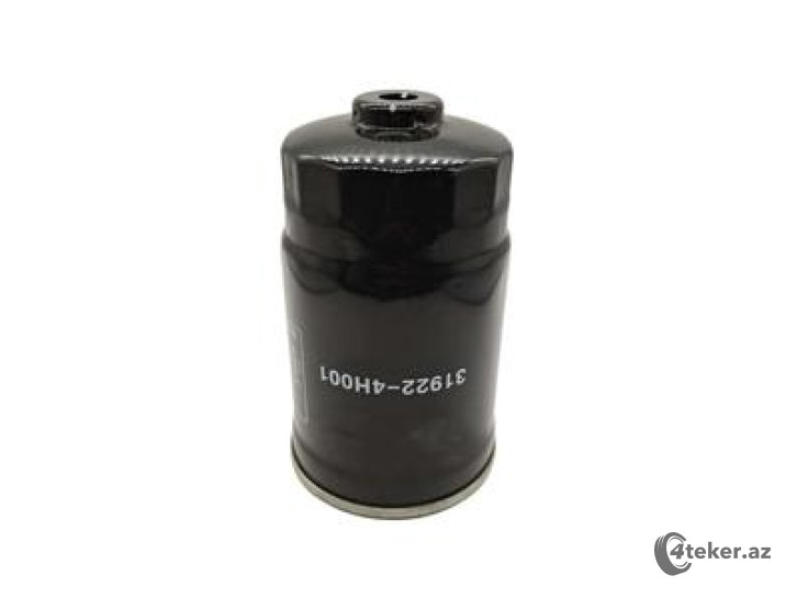 Yanacaq filteri HYUNDAI 319224H001