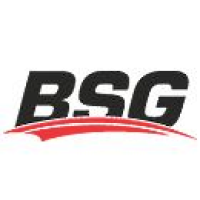 BSG logotype